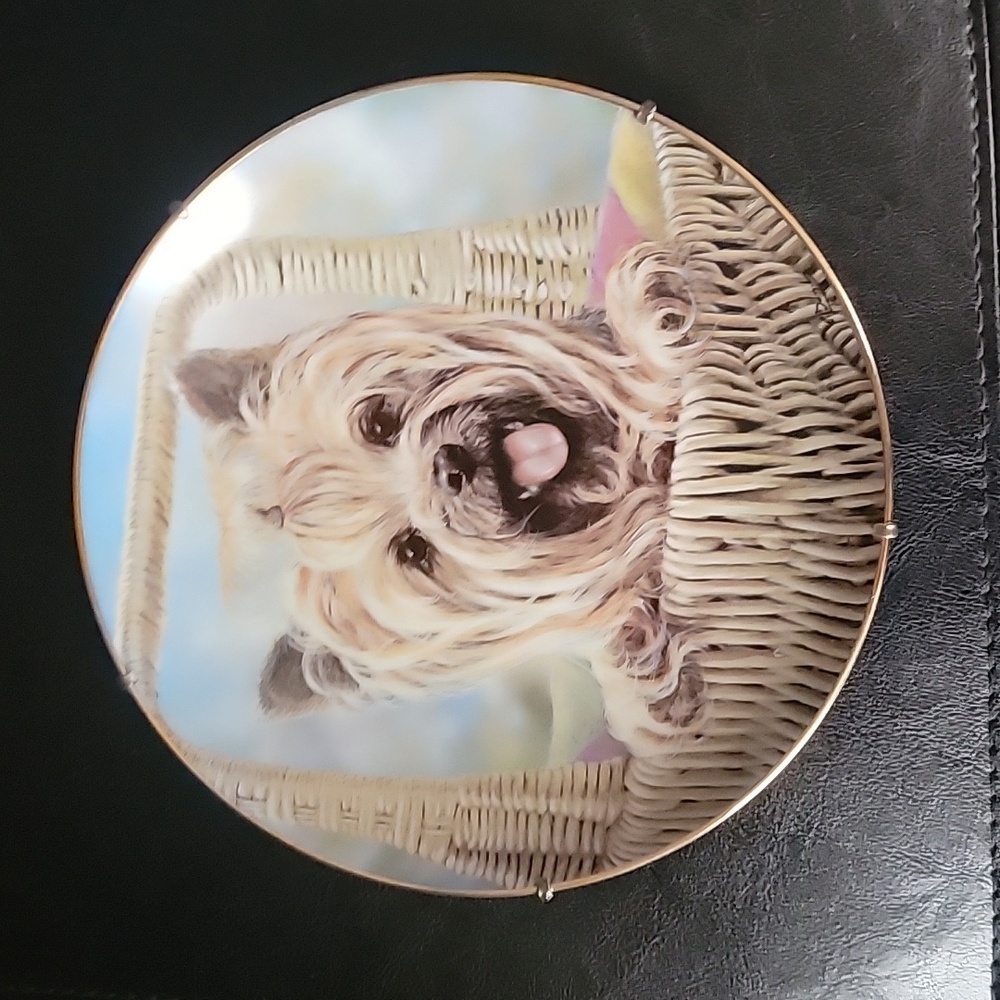 Danbury Mint Carry Me Home Collector Plate
